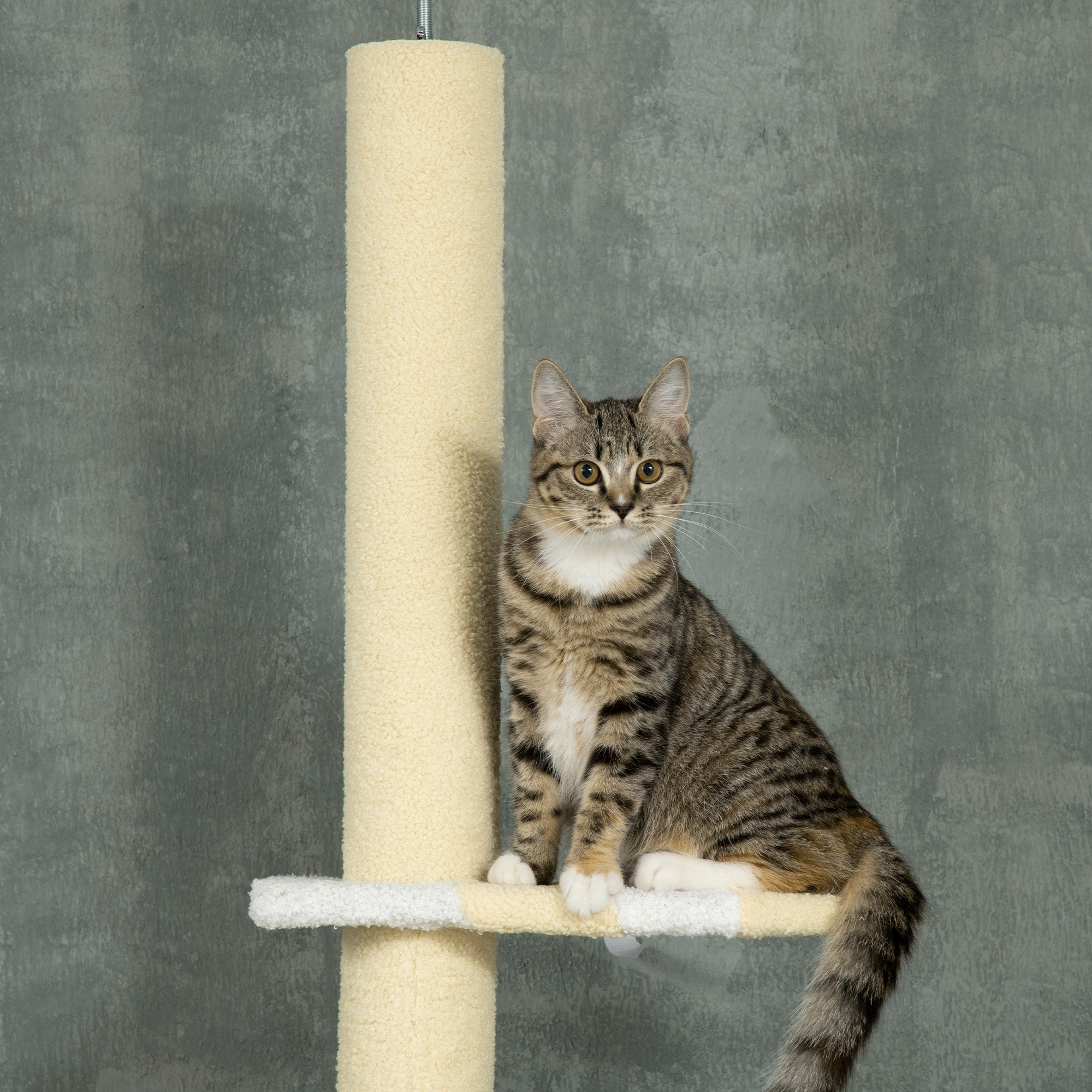 Floor-to-Ceiling Cat Tree with 3 Perches, Yellow, photo 3 of 5