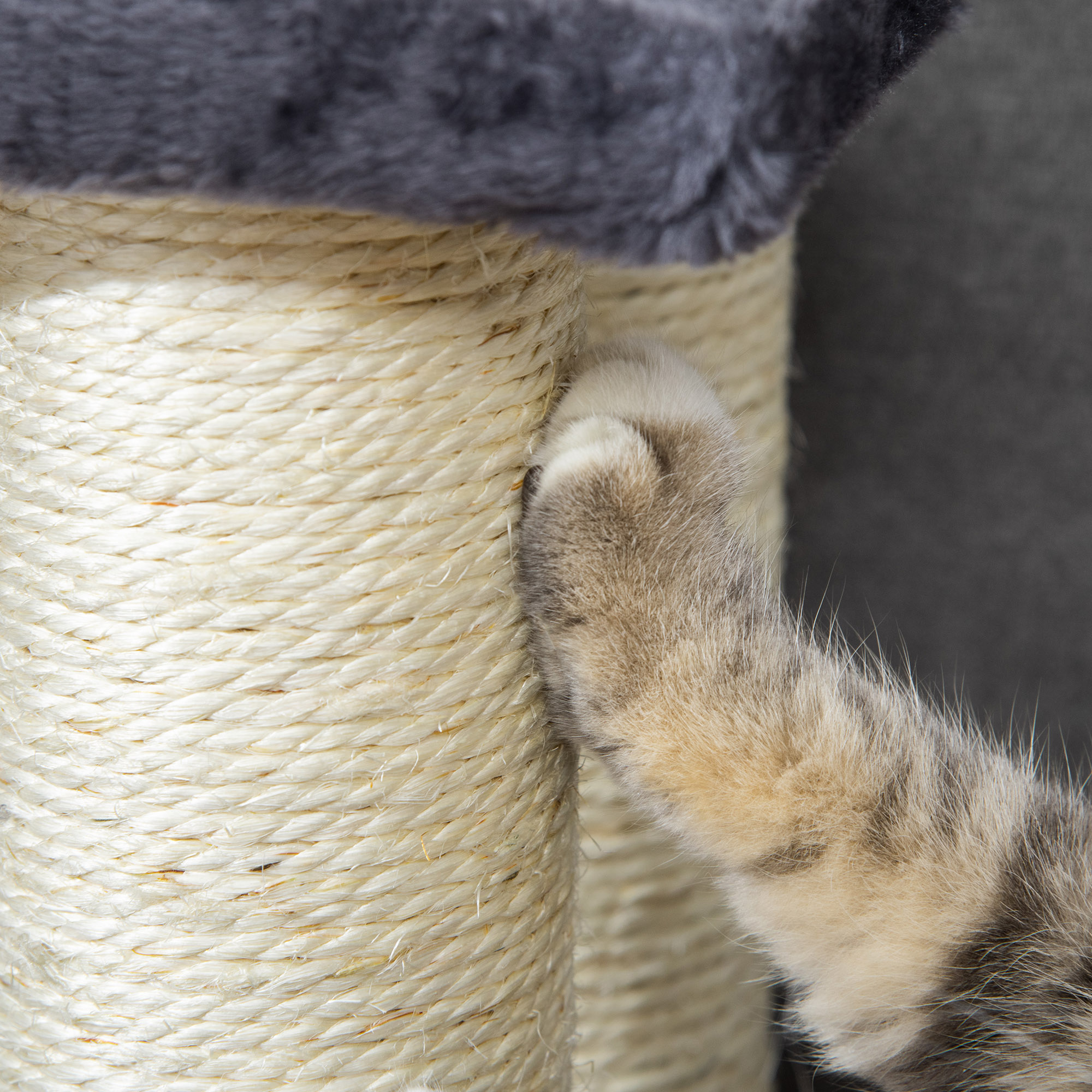 4-Step Cat Stairs with Sisal Posts, Gray, photo 5 of 5