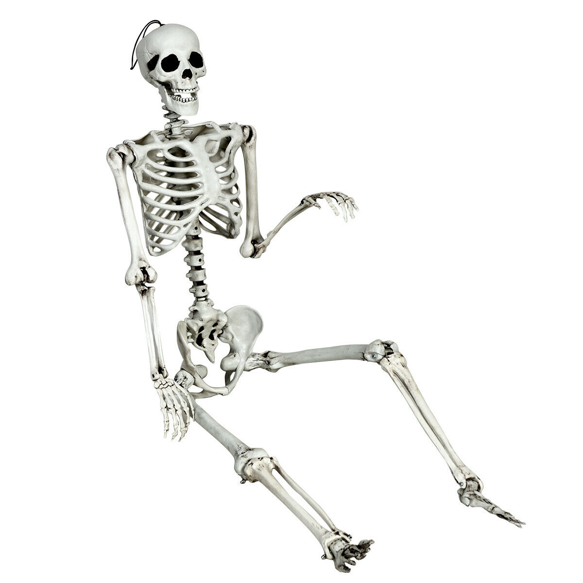 63 in Posable Skeleton with Hanging Rope, Grayish White, photo 3 of 5