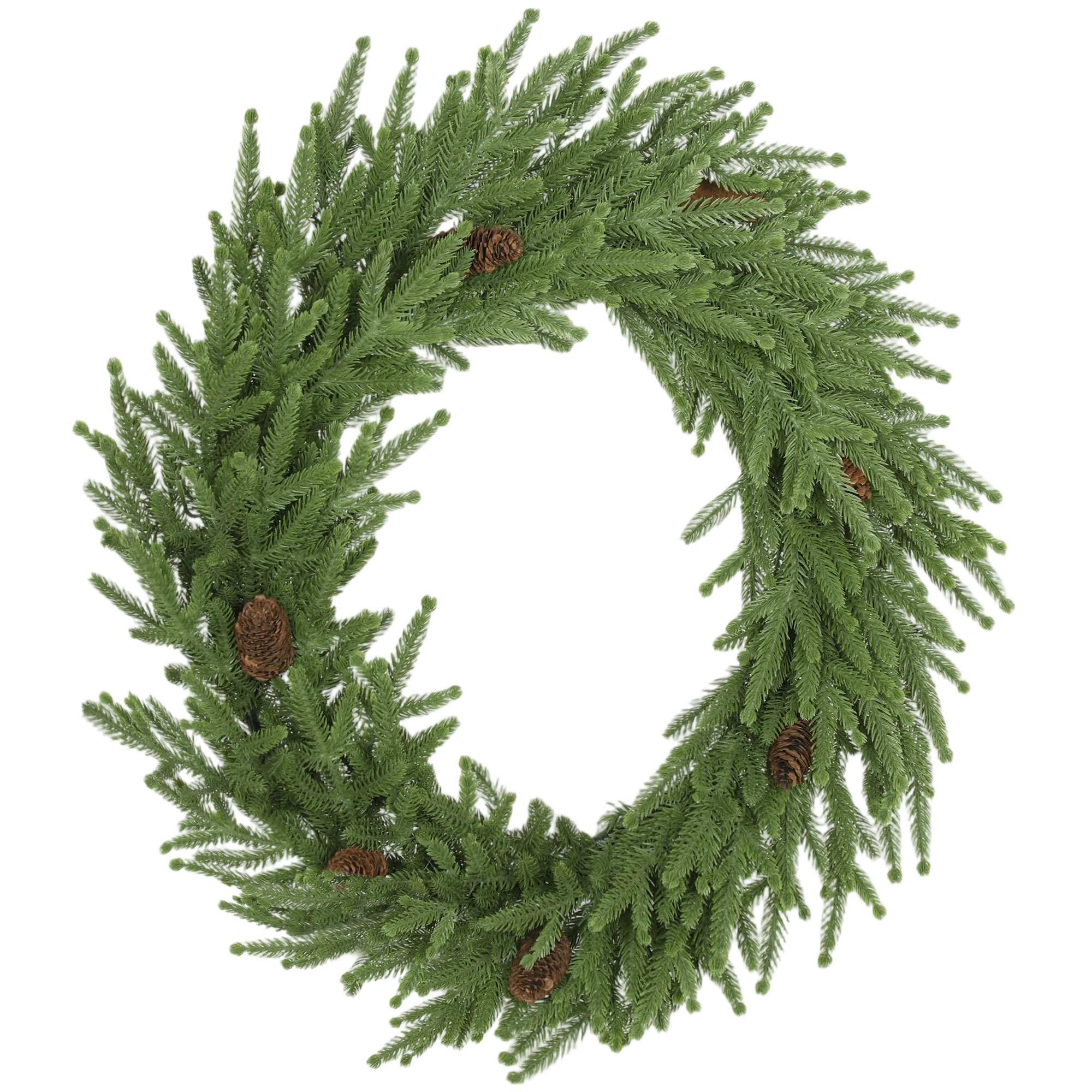 24 in Unlit Wreath with Norfolk Pine and Cones, Green, photo 4 of 5