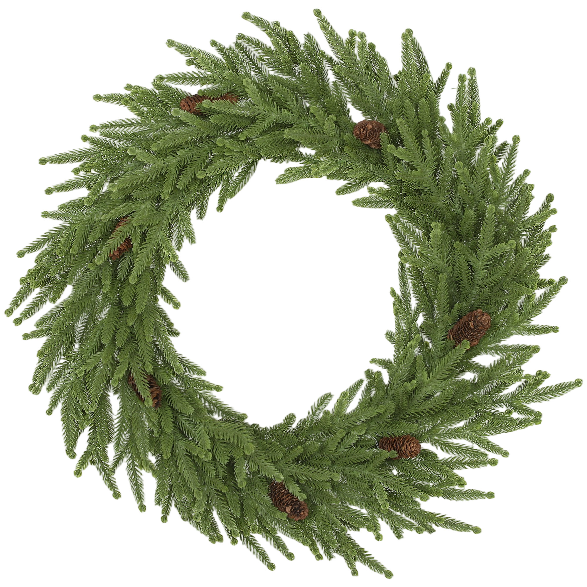 24 in Unlit Wreath with Norfolk Pine and Cones, Green, photo 3 of 5
